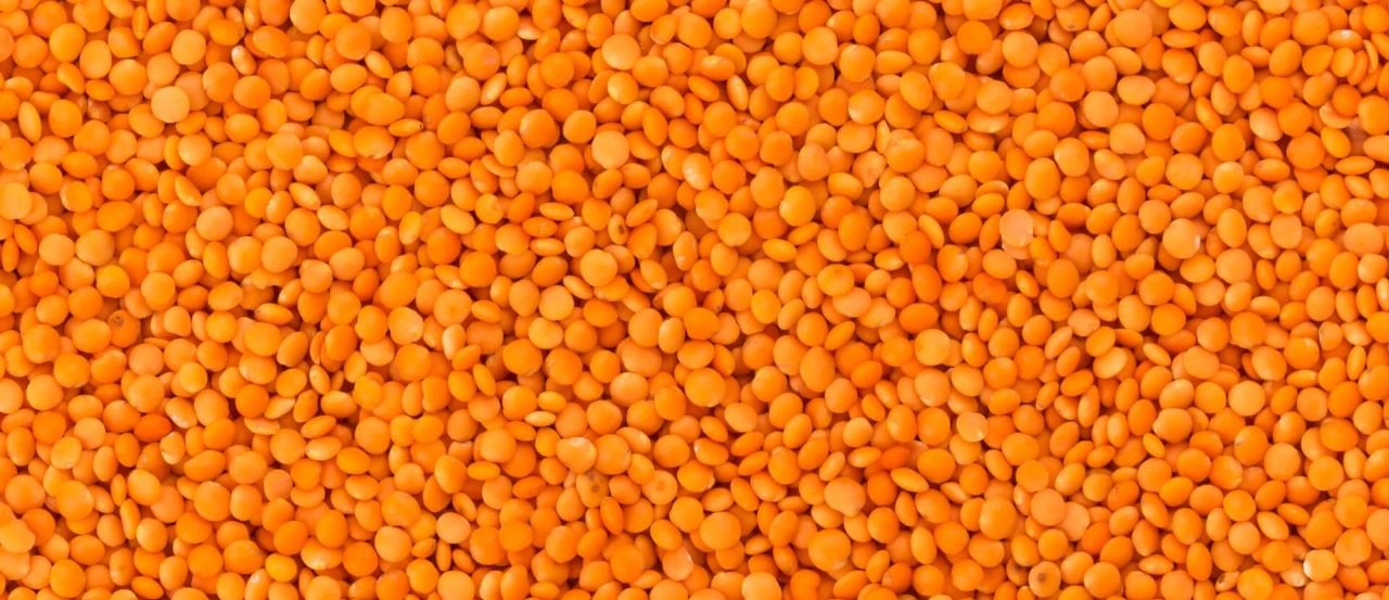 Premium Red Lentils