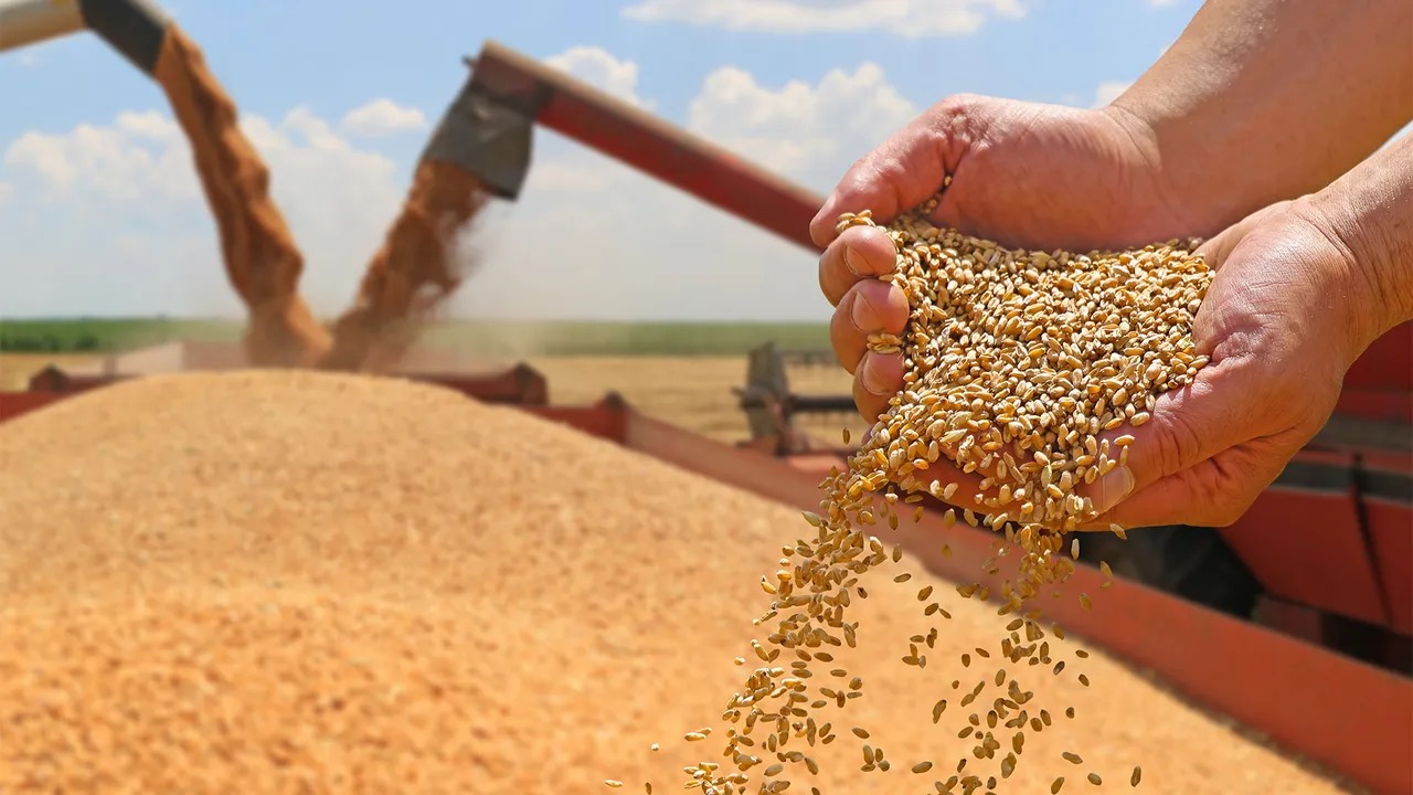 Agricultural Commodities